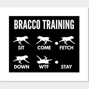 Bracco Italiano Training Italian Pointer Tricks Posters and Art